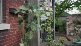 Dog Park - Season 01 Episode 02